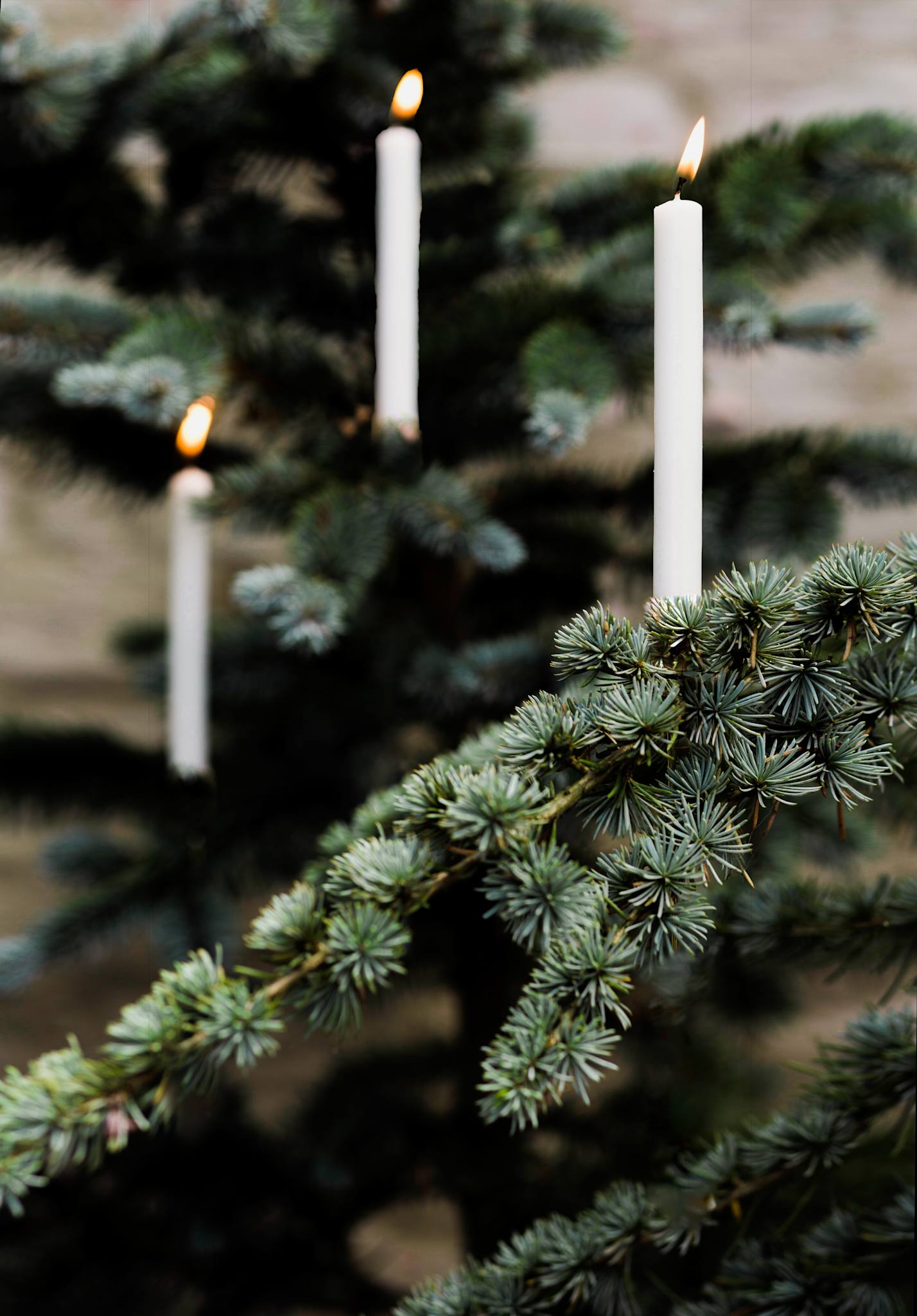 Italian Church Candles. Ø=1.3 cm. H=13 cm 12 pcs in box - White