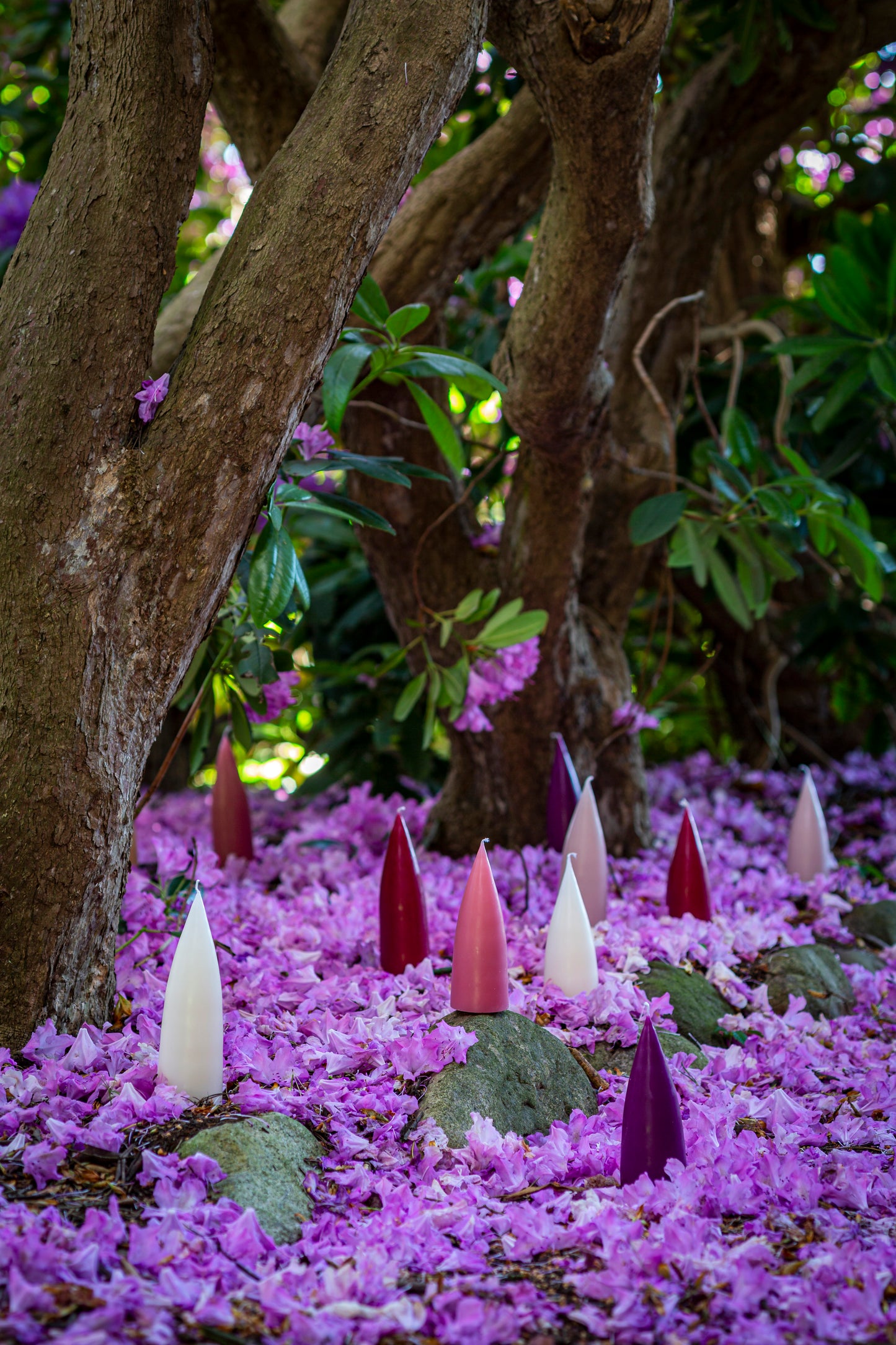 Coloured Cone-Shaped Candles - ø-6,5 cm, length 16 cm - 2-pack - Heather #71