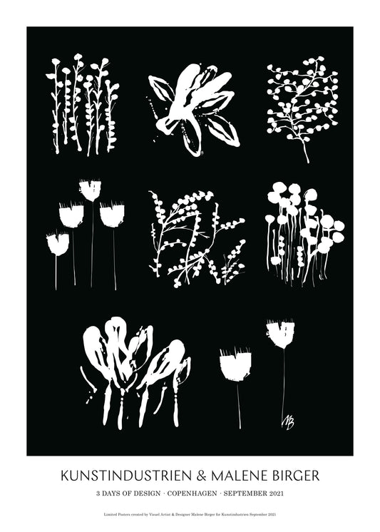 Abstrakte Blumen - Poster - 01Schwarz