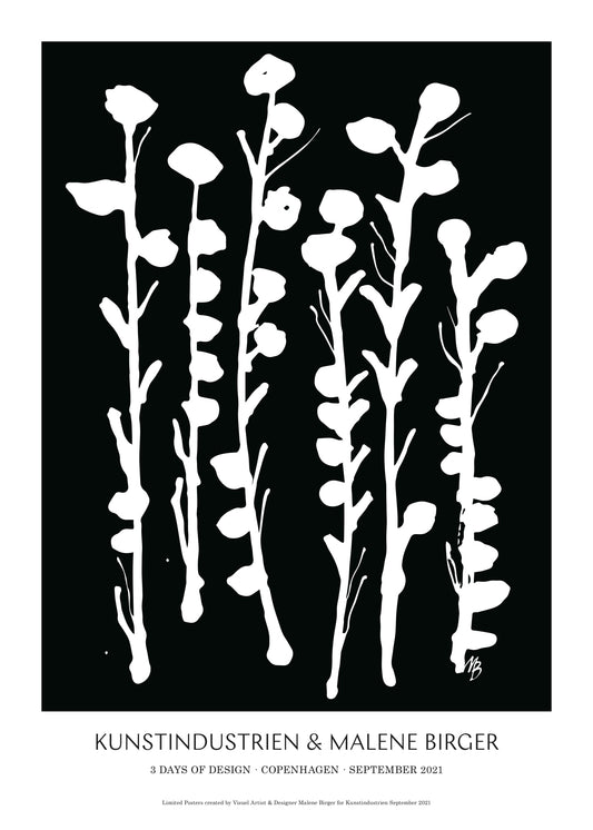 Abstrakte Blumen - Poster - Schwarz1